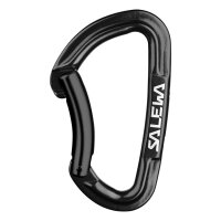 robuster Karabiner in schwarz Salewa
