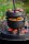 Petromax Feuertopf ft3 Dutch Oven aus Gusseisen - 1,6L Topf & 0,4L Deckel (Pfanne)