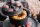 Petromax Feuertopf ft3 Dutch Oven aus Gusseisen - 1,6L Topf & 0,4L Deckel (Pfanne)