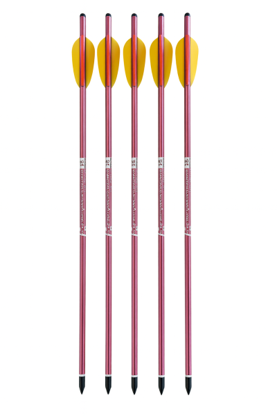 5er Pack rote Aluminium Bolzen Länge 16" (44cm) für EK-Archery JAG 1 und JAG 2 Pro D-008MK