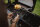 Enders Celsio II Bluetooth Themometer