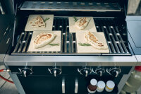 Enders Pizzasteine 19x19cm, 4er Set