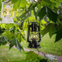 Feuerhand Sturmlaterne Baby Special 276 (tiefschwarz) inkl. Tasche