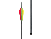 EK Archery 6er Pack Carbonbolzen Länge 20" (50,8cm) für Vulcan 400/415