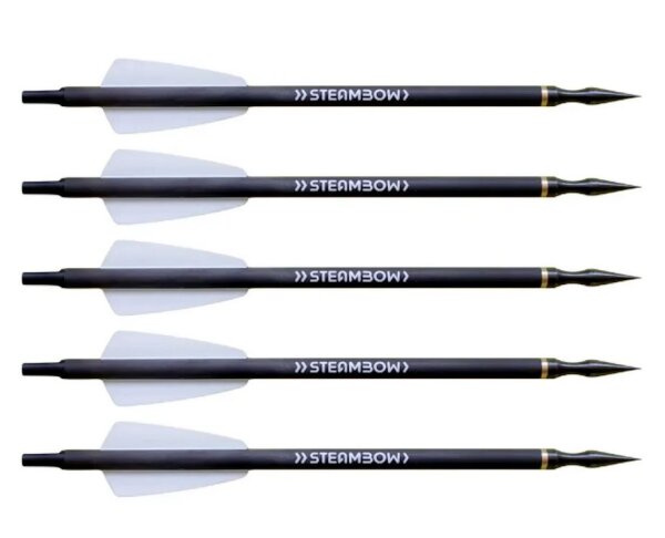 Steambow AR-Series – PD-5 Übungspfeile 7,5 x 220mm, 5 Stück