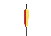 EK Archery 6er Pack Carbonbolzen 22" (55,9cm) für HEX 400
